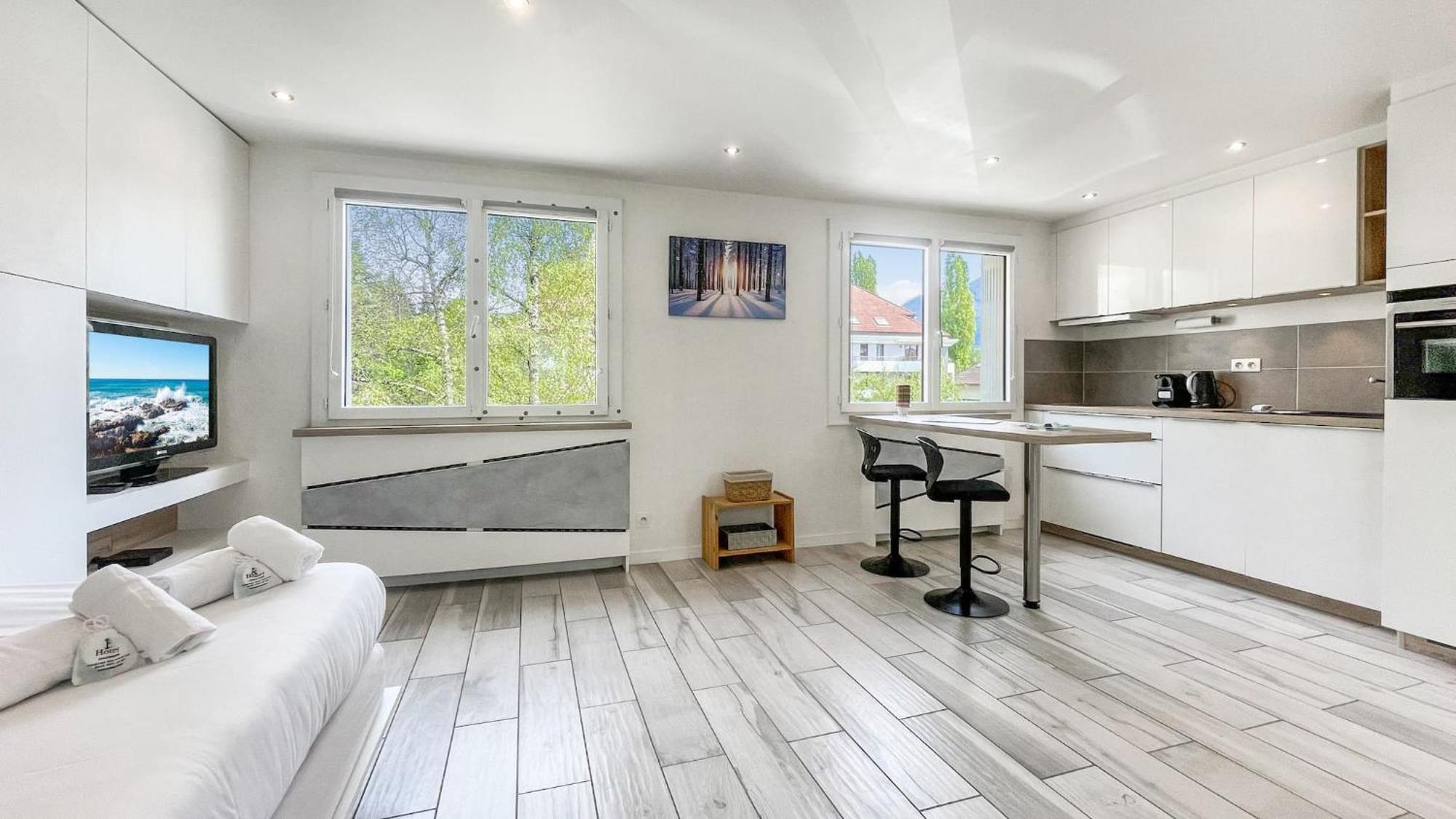 Homey Tidy - New / Proche Centre / Parking Gratuit / Entierement Equipe Annecy